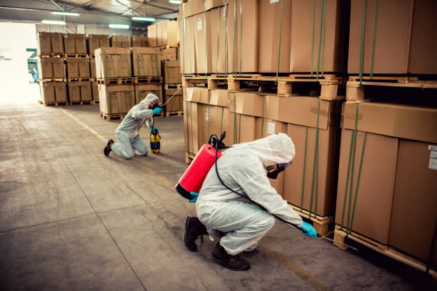 Best Best Pest Control Companies  in Cusseta, GA