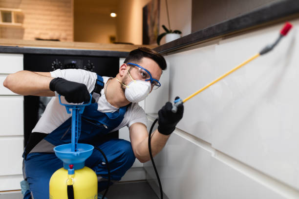 Best Ant Control Services  in Cusseta, GA