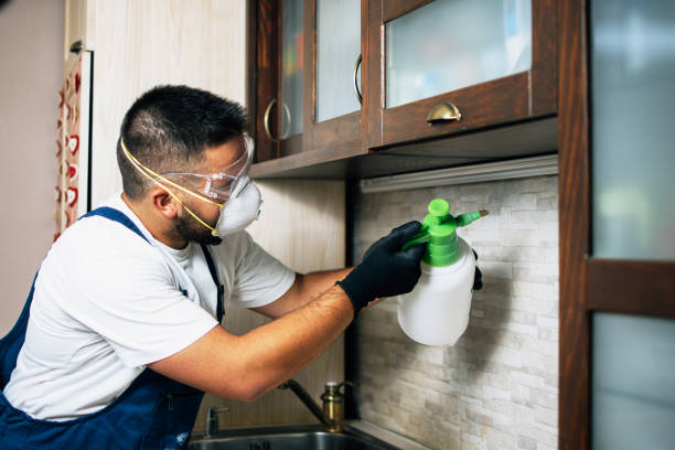 Best Cockroach Control Services  in Cusseta, GA