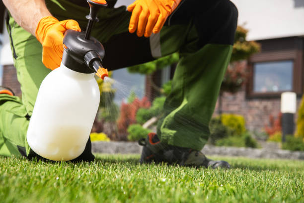 Best Flea Control Services  in Cusseta, GA