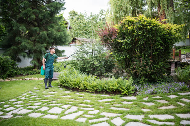 Best Pest Control for Homes  in Cusseta, GA