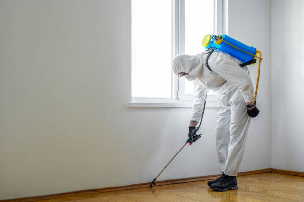 Best Pest Inspection Near Me  in Cusseta, GA
