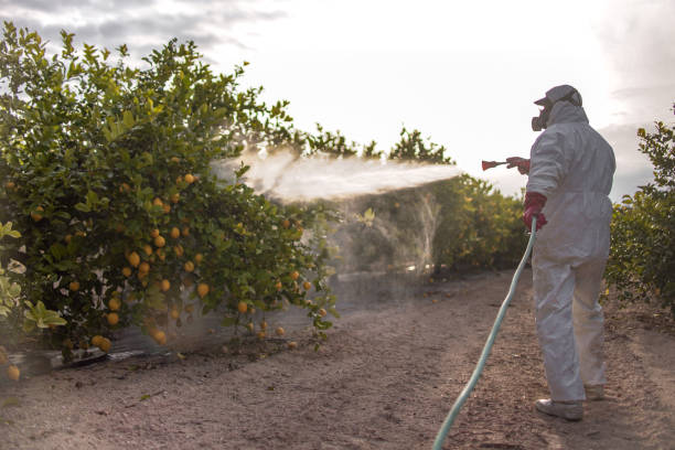 Best Residential Pest Control  in Cusseta, GA