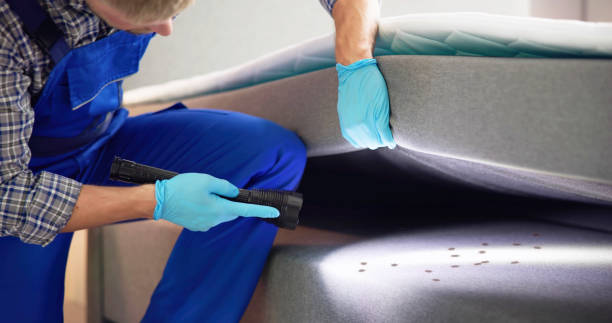 Best Affordable Pest Control Services  in Cusseta, GA