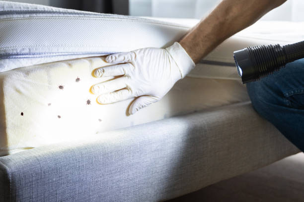 Pest Control Cost in Cusseta, GA