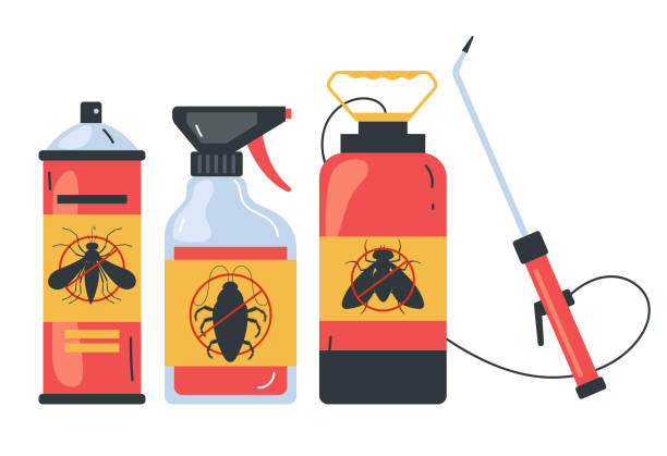 Best Insect Control  in Cusseta, GA