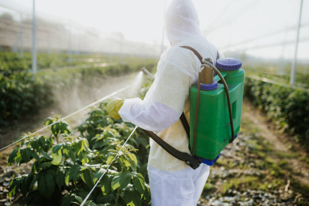 Best Pest Prevention Services  in Cusseta, GA
